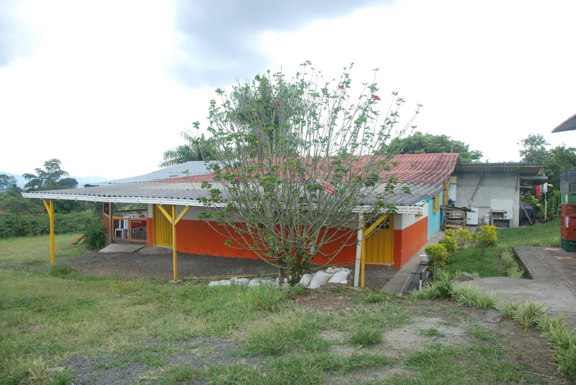 Finca En El Quindio Arrullo Cafetero Quimbaya Dış mekan fotoğraf